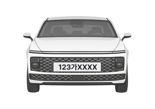 등록 전 차량번호판 예시 이미지