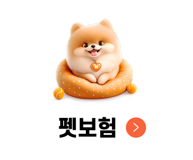 펫보험