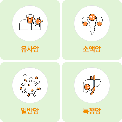 유사암, 소액암, 일반암, 특정암
