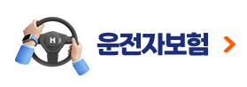 운전자보험