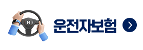 운전자보험