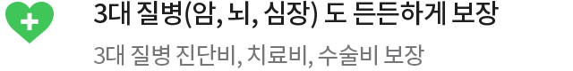 3대 질병(암, 뇌, 심장) 도 든든하게 보장 3대 질병 진단비, 치료비, 수술비 보장