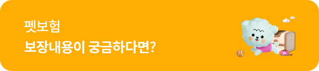 펫보험 보장내용이 궁금하다면?